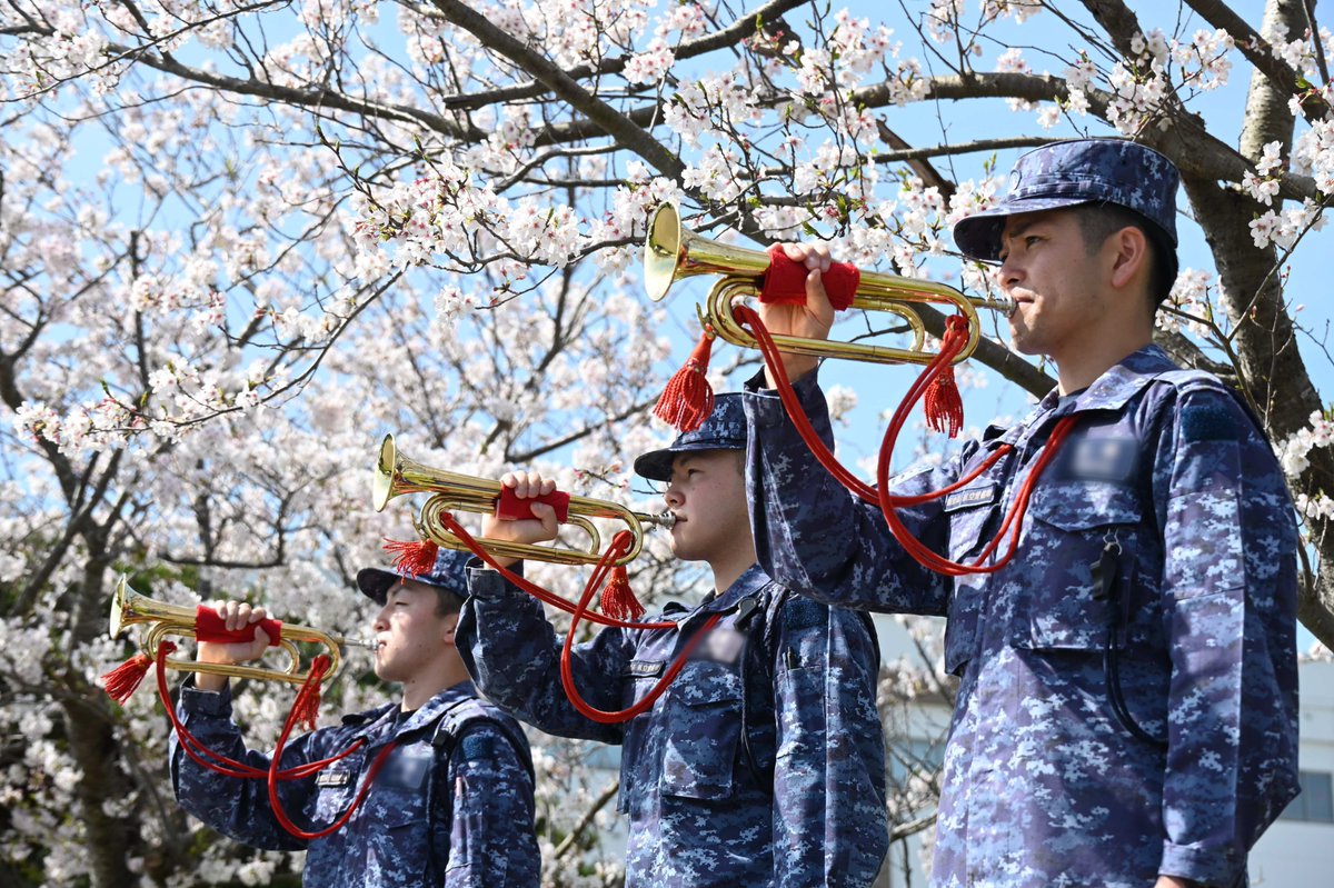 JMSDF_21aw's tweet photo. 🌸【館山航空基地の春の訪れ】🌸
日増しに暖かくなってきましたね✨
#館山航空基地 の桜が満開になりました❣隊員もろくまるも春を感じています😊
隊員一同、みなさまが安心して暮らせるよう日々訓練に励んでいます！

#自衛隊 #海上自衛隊 #第21航空群 #春 #桜 #ろくまる https://t.co/ZYgxIkduFn
