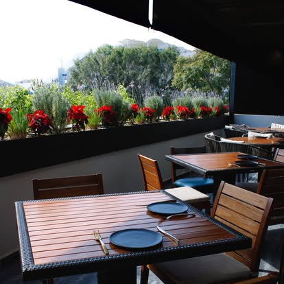 SLP_Capital's tweet photo. 🍝🍷Descubre Volare Ostería en #SanLuisCapital: cocina italiana con platillos de mar y tierra, además de sopas, ensaladas y bebidas para todos los gustos.

📍 Mariano Arista 1150, De Tequisquiapan, 78250 San Luis Potosí, S.L.P.

📷: Volare Ostería vía FB https://t.co/0ujHYRhM6b