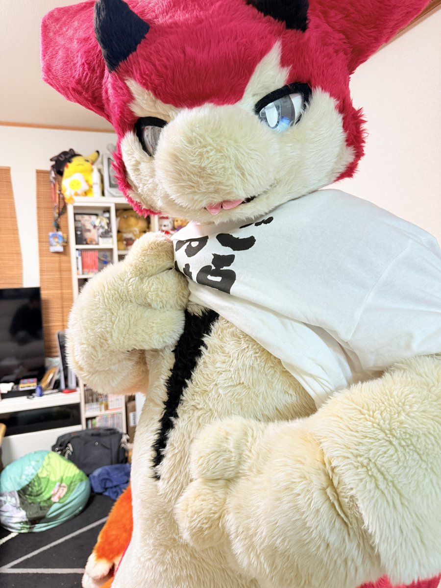 🍁てんせん🌋 tweet media