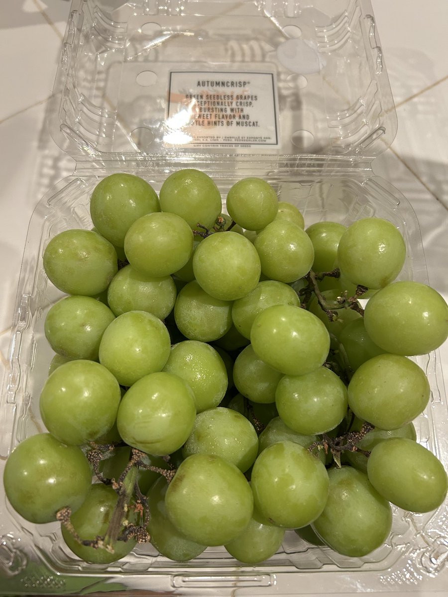 Dalton Pruitt tweet media