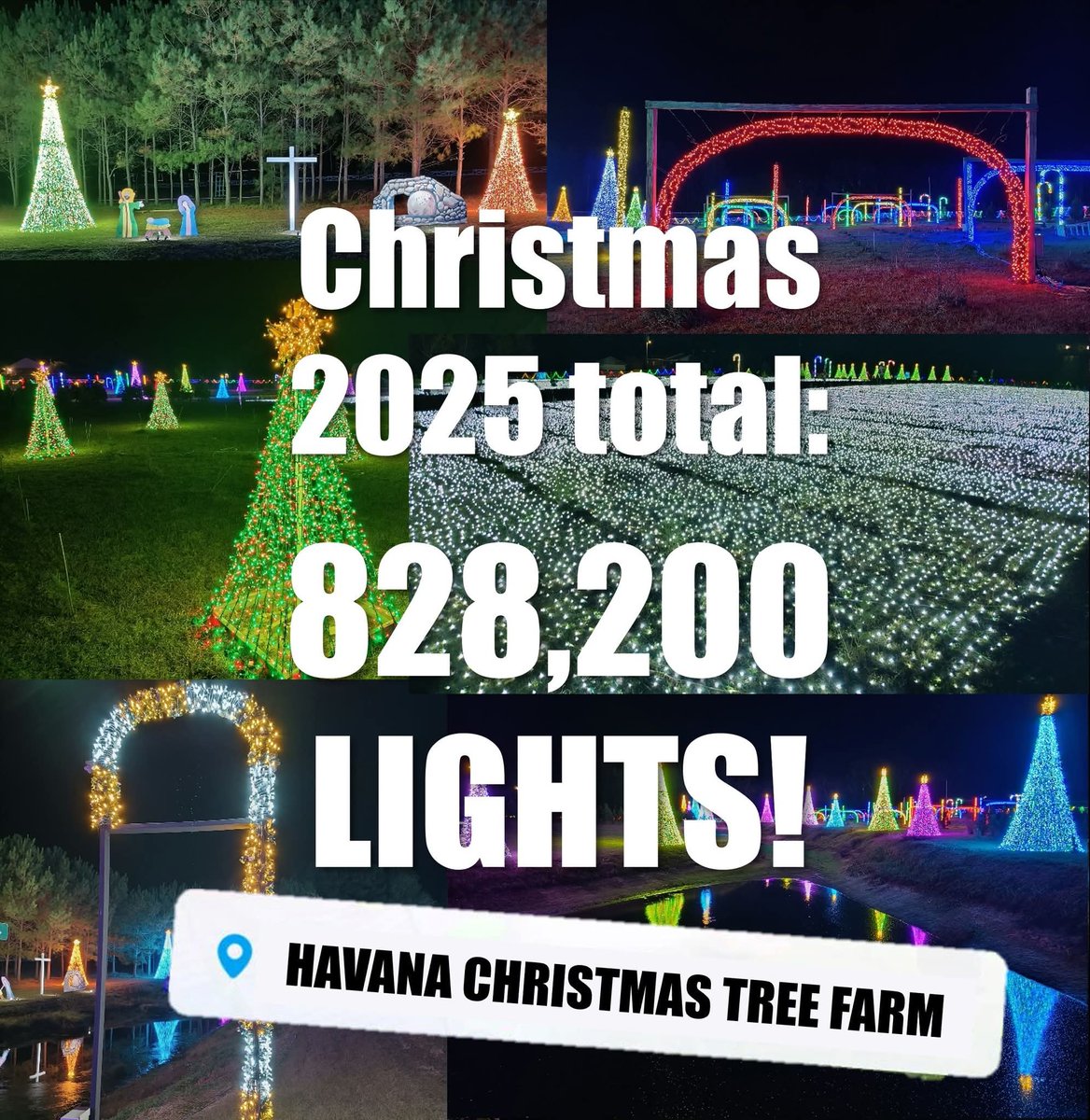 allisonchristms's tweet image. 🥁DRUM ROLL PLEASE!🥁 Our light count grand total for #Christmas2025 was 8️⃣2️⃣8️⃣,2️⃣0️⃣0️⃣ lights at the Havana Christmas Tree Farm! 🎄✨️ We're VERY excited to keep the show going strong and growing for the glory of God! 🙌