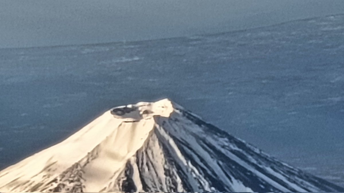 まこと tweet media