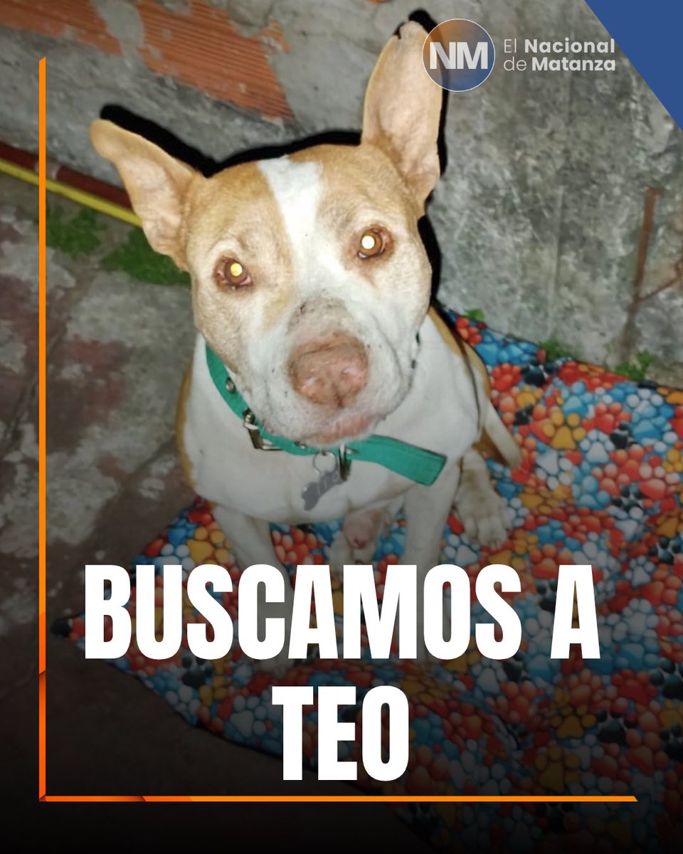 El Nacional de Matanza tweet media