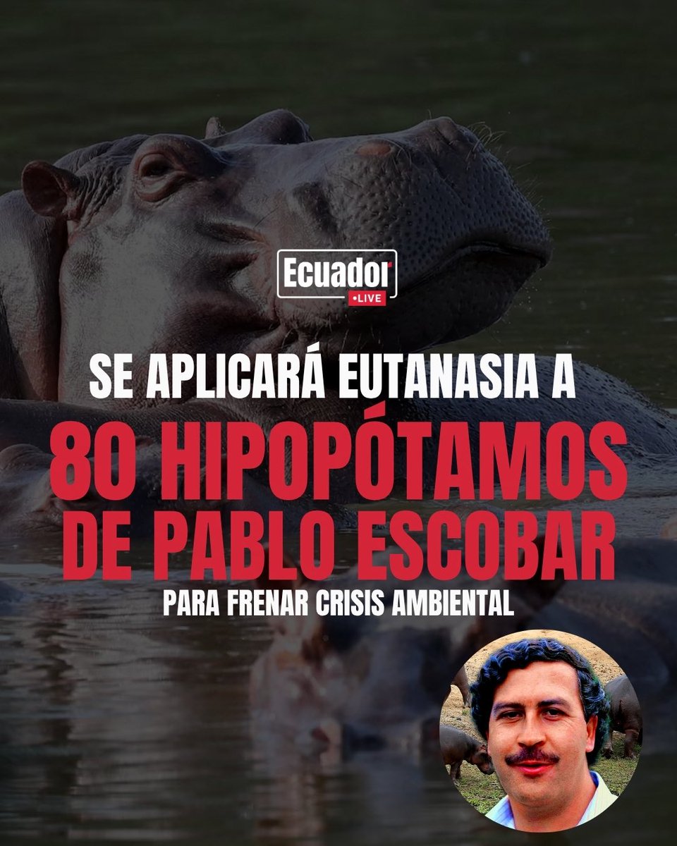 EcuadorLIVE tweet media