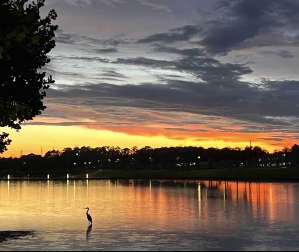 ZiggyGirl tweet media