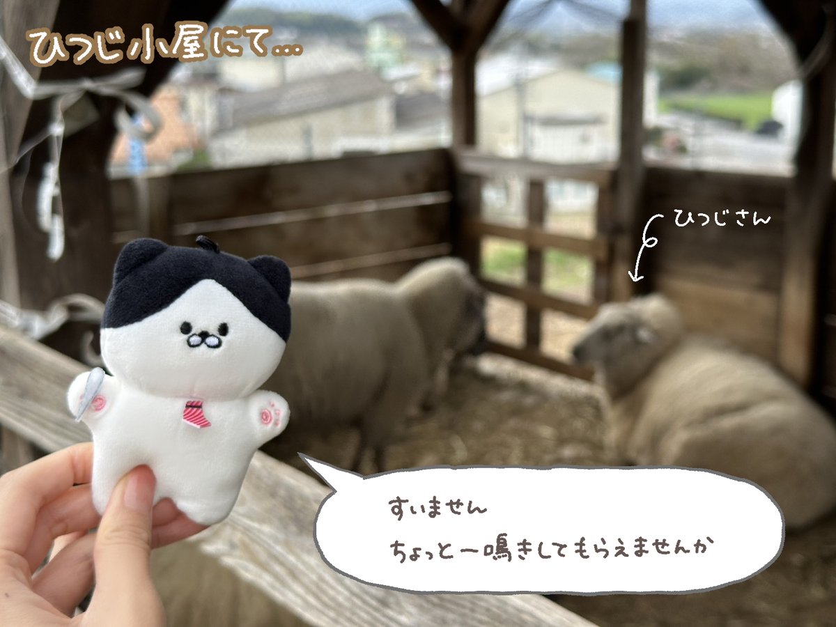 novel_com's tweet photo. 今日6月6日は
#ひつじの日 🐑🐑

ぬいとのコラボを試みましたが…

誰一人こっちを見てくれませんでした😭

#ぬい撮り #ぬい活 #ぬいぐるみ製作 #ノベルコム https://t.co/8N6BFSduqZ