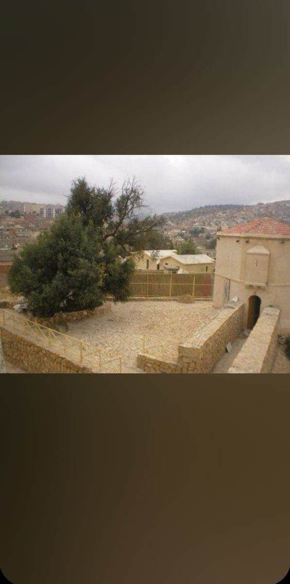 S__8__M's tweet photo. @silai_silin هاذي هي شجرة الزيتون كاين وراها المقر السابق لبلدية سوق اهراس ومؤخرا كاين حكاية بلي حابين يحولوه لفندق حسب https://t.co/9SZWxhYA9s