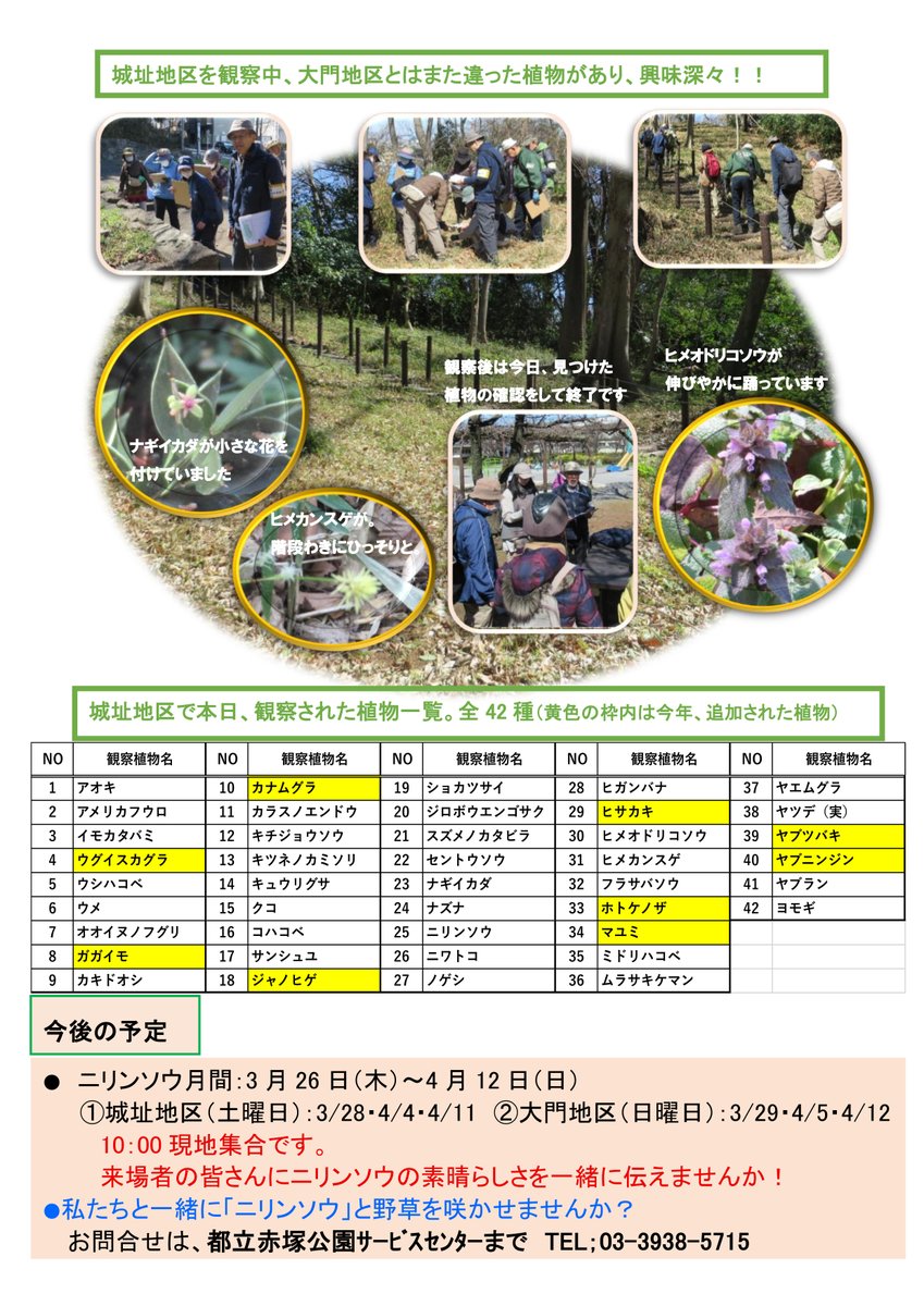 都立赤塚公園 tweet media