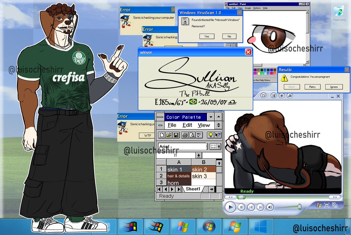 ✯Sully✯ tweet media