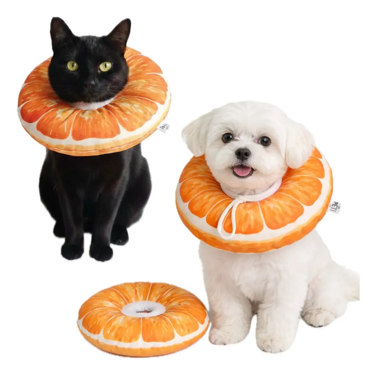 Indieta 🐾 tweet media