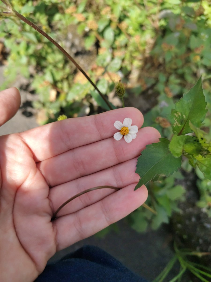 bruna♡ | enf/ufjf #studytwtbr tweet media