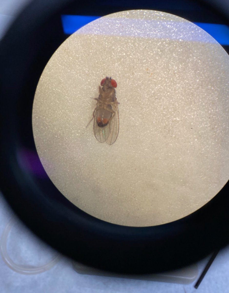 kowloon walled city enjoyer tweet media