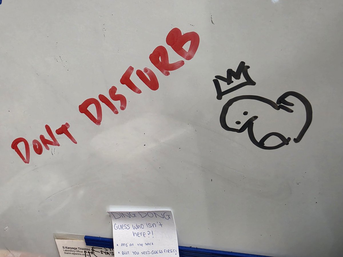 방찬편 🐺🌙 tweet media