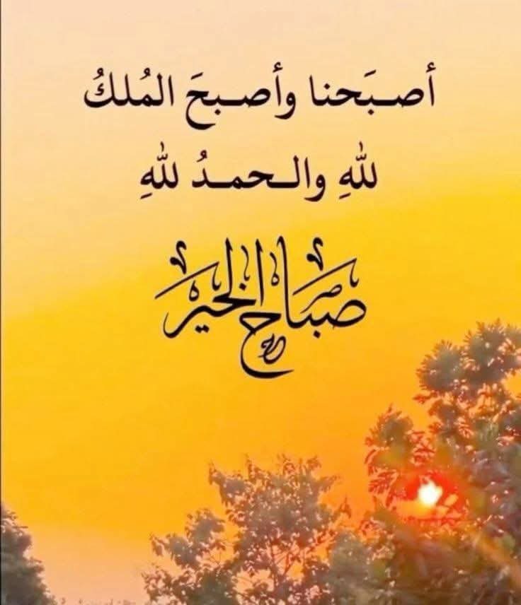 ﮼نجمه،السلطنه🇴🇲 tweet media