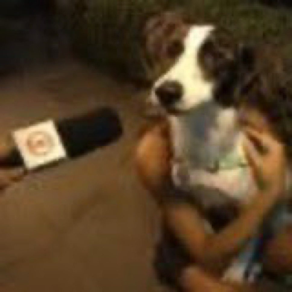 MinoLeite tweet media