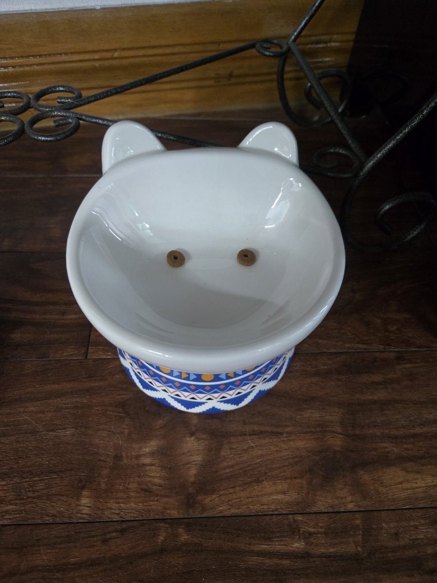 어느날 고양이가 예술작품을 만들었다