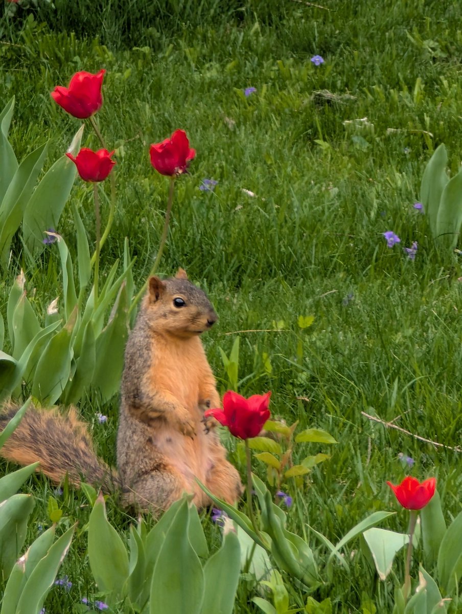 John Bossnack tweet media