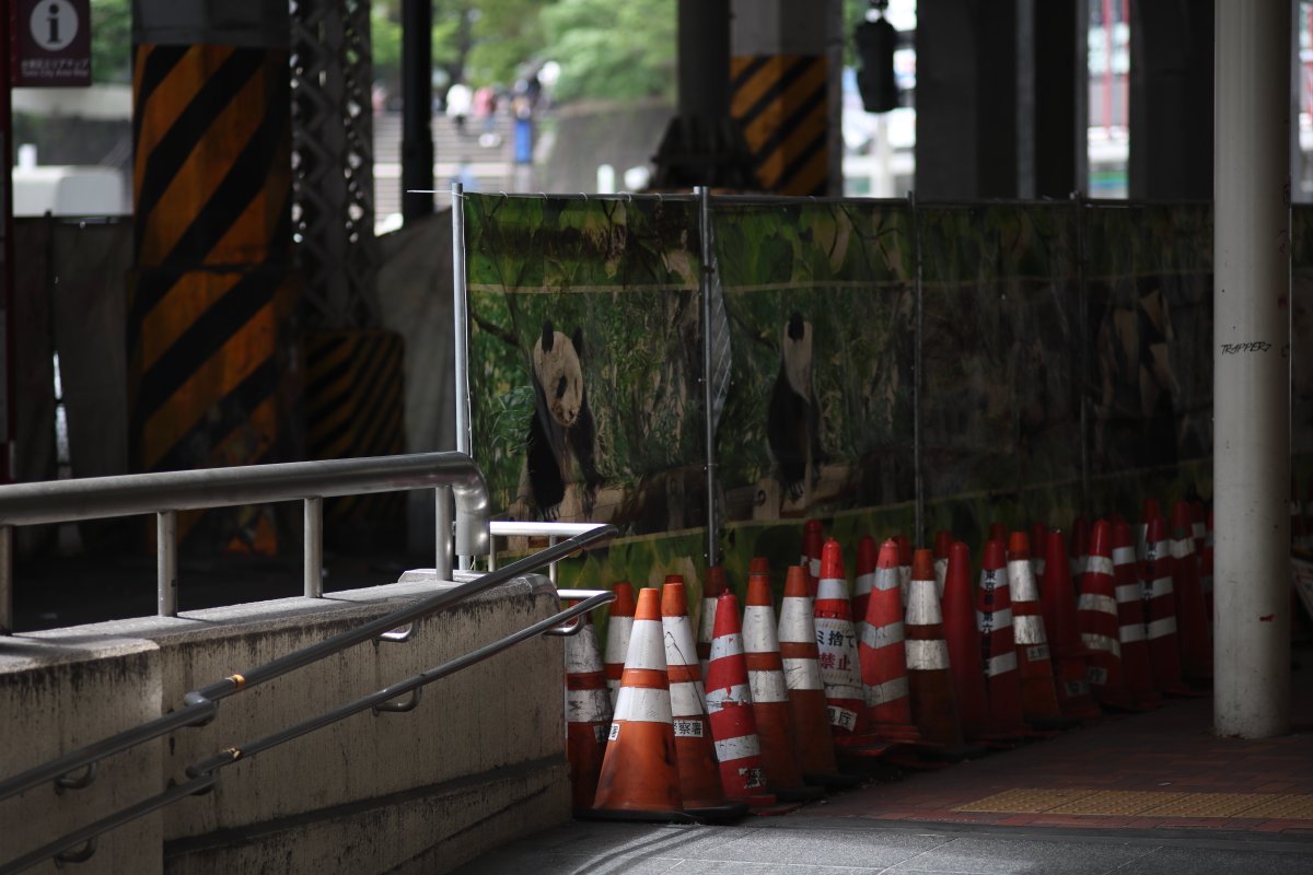 吉川卓志 tweet media