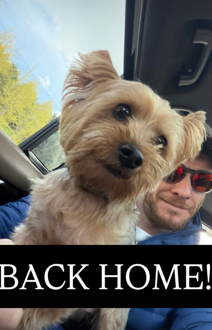 hazelnutphco's tweet photo. Hi, Hector! Welcome home buddy! We missed you!
@KeremBursin 
#KeremBürsin https://t.co/00fs7Fh1jd