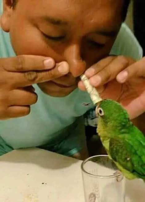 Oscar Rosiles Guerra tweet media