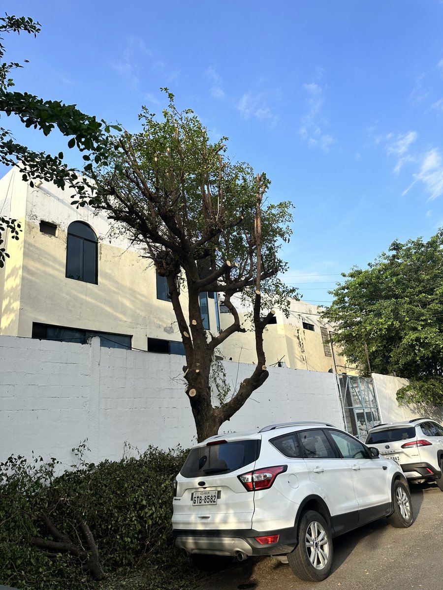 Maria Elena Hoyos tweet media