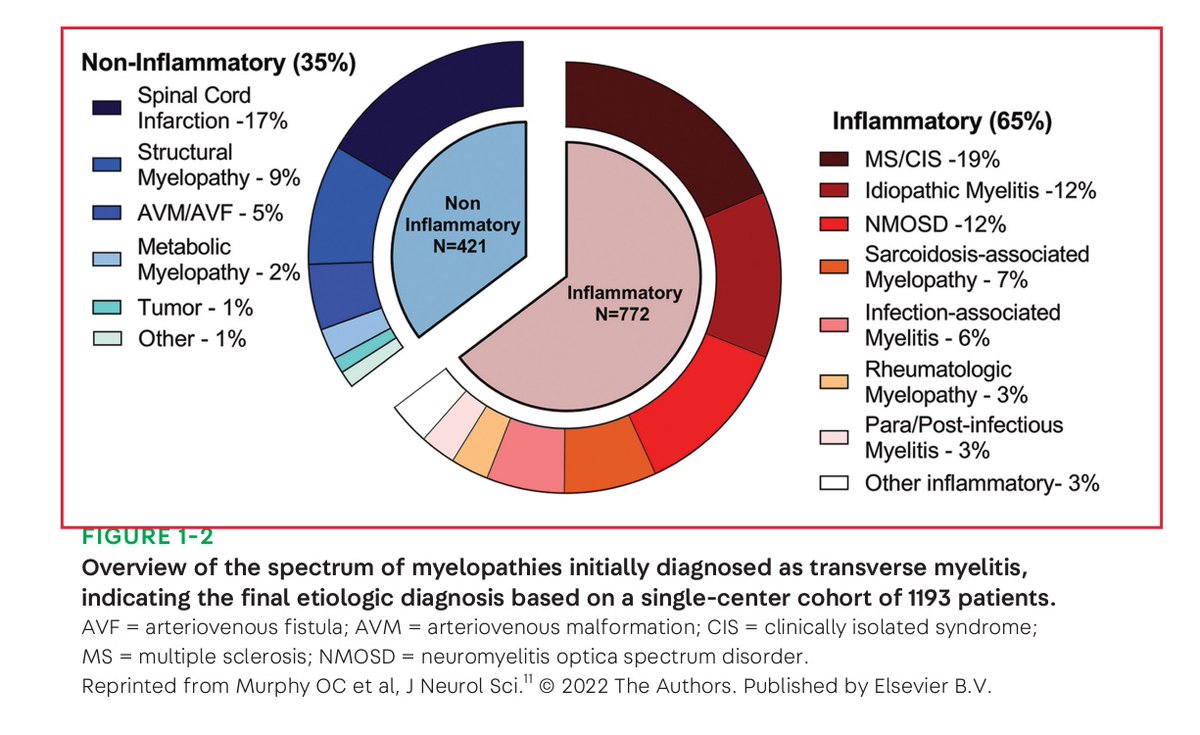 jonttrout's tweet photo. #NeuroPearl: “Transverse myelitis” is non-inflammatory in 1/3 of patients 
#MedTwitter #MedX #MedEd #NeuroTwitter #NeuroX https://t.co/kfkaRnElFP