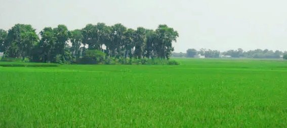 Good morning X friends 💖 

    🌹🌹🌹🌹🌹🌹🌹🌹🌹🌹 

Have a beautiful view of morning
