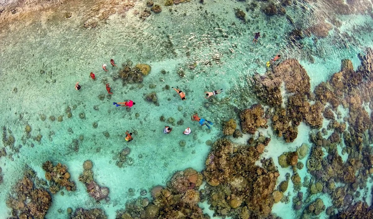 Standrake_28's tweet photo. No. 11;
Snorkeling in French Polynesia. https://t.co/IBnkfvmCni