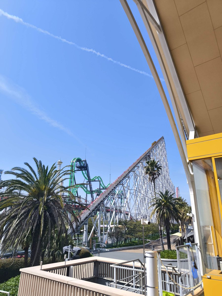 ぐっち tweet media