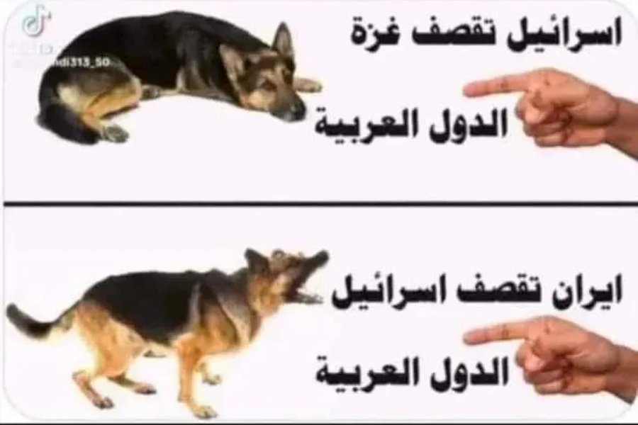 غزة شرف كل مسلم tweet media