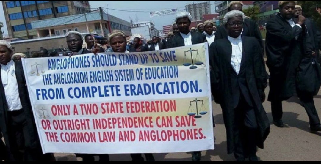 Zoso 🇺🇳(🇮🇶) tweet media