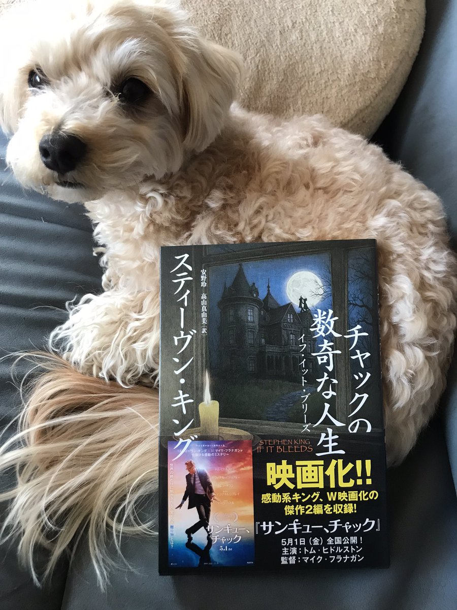 スティーヴン・キング『チャックの数奇な人生　イフ・イット・ブリーズ』(安野玲、高山真由美訳、文藝春秋)献本いただきました。映画と併せとても楽しみな一冊。