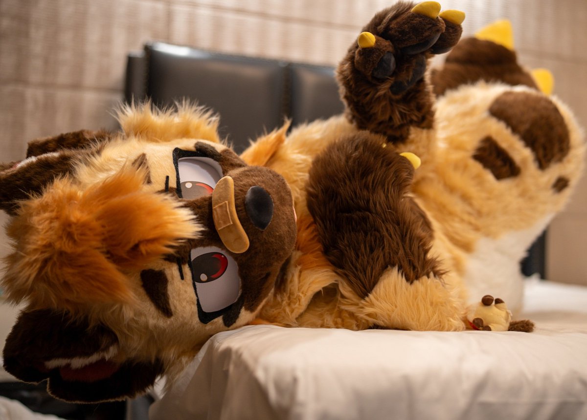 명이랑 후치 그리고 감자 tweet media