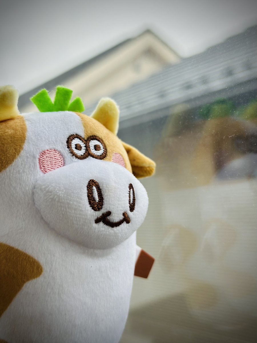 わさビーフの山芳製菓 tweet media