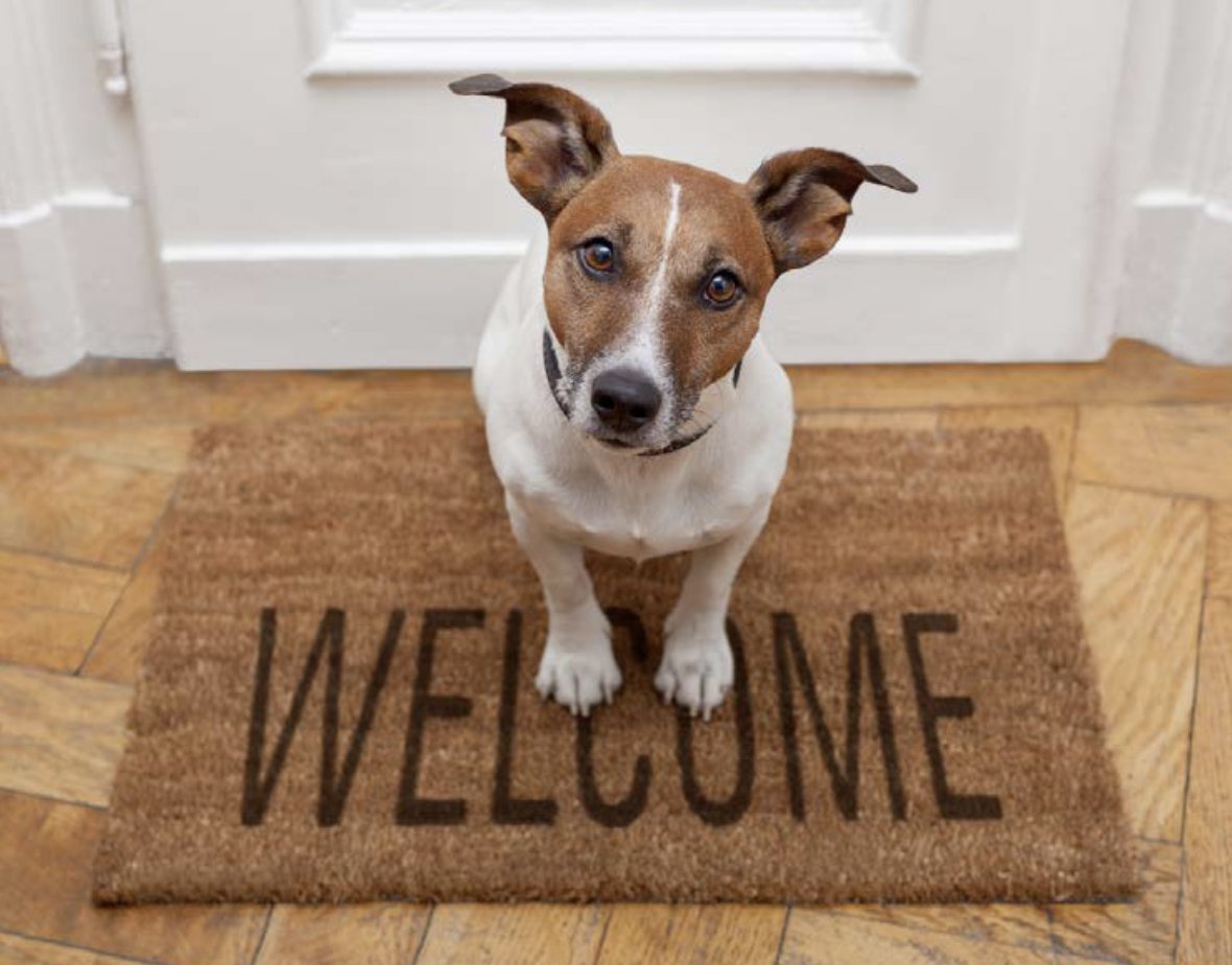 The REVUE Community Newspaper Vancouver BC tweet media