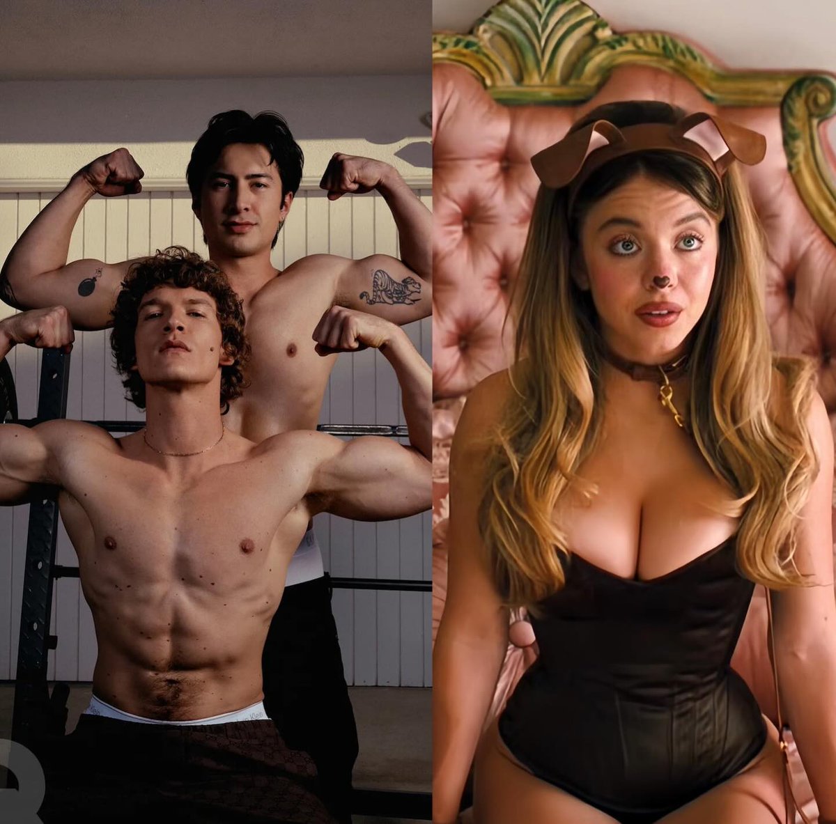 Sydney Sweeney Fans tweet media