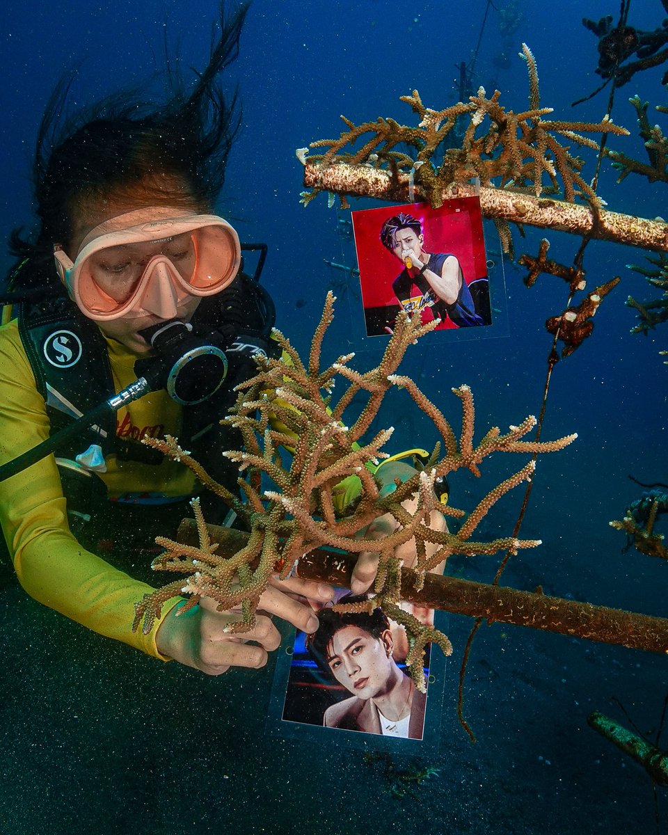 RJlyani's tweet photo. May each coral sprout bring good wishes for Ren Jialun's future success. Let's protect the earth as we support him!

Thank you to everyone who has supported me. A big thanks to the project team and media partners as well

Thanks to @reeformers.id

#renjialun #birthdayproject https://t.co/12te4Qn6eE