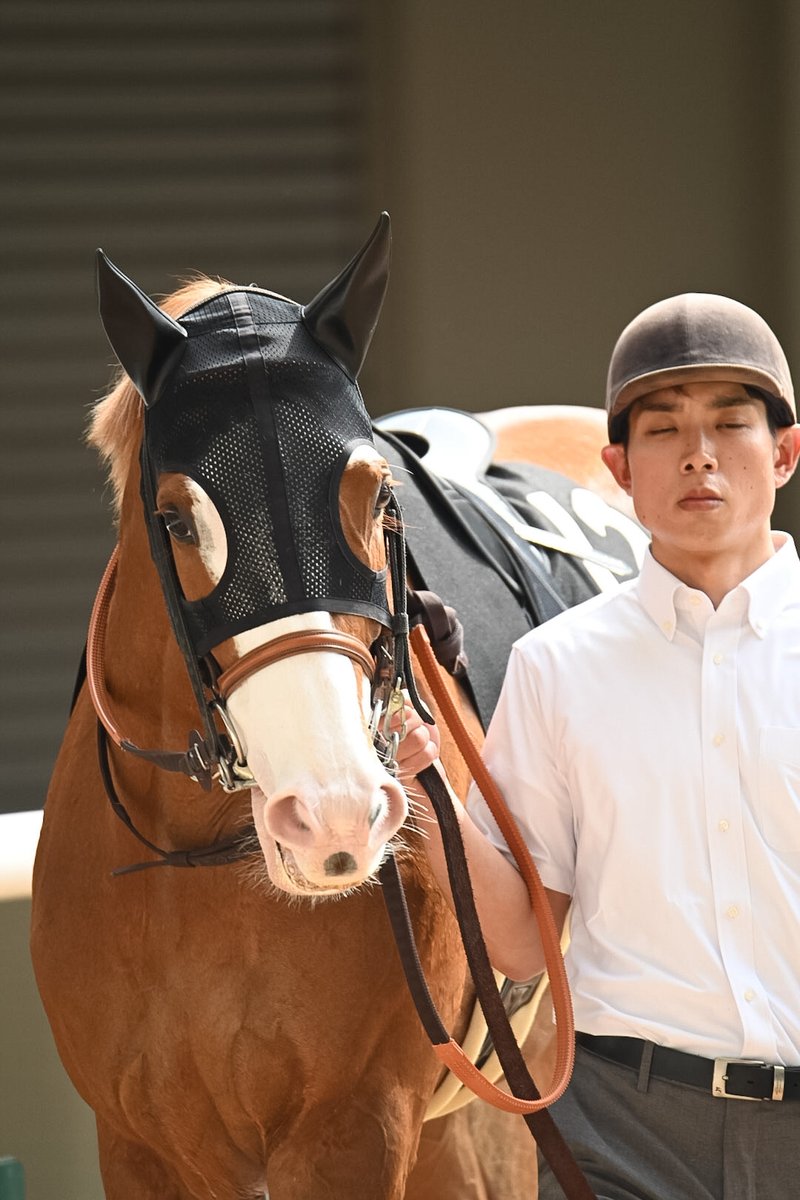 Tomonari Motohashi tweet media