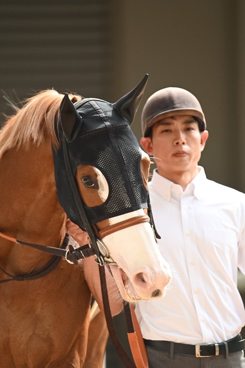 Tomonari Motohashi tweet media