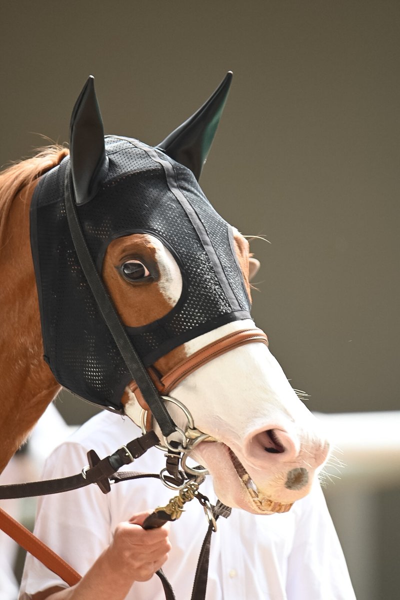 Tomonari Motohashi tweet media