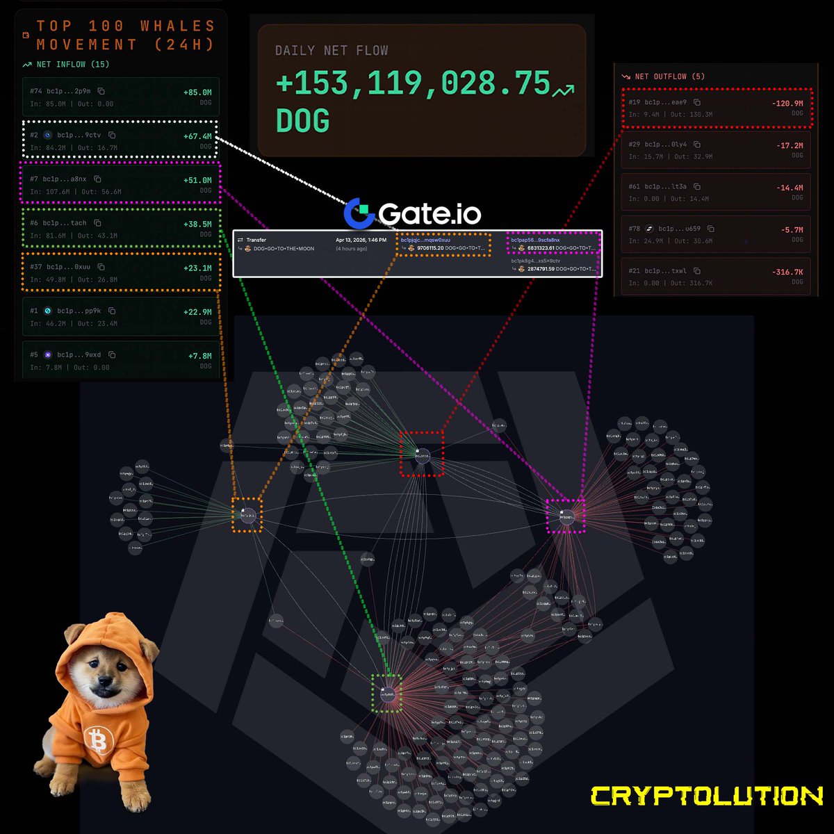 Vincent (Cryptolution) 👑 tweet media