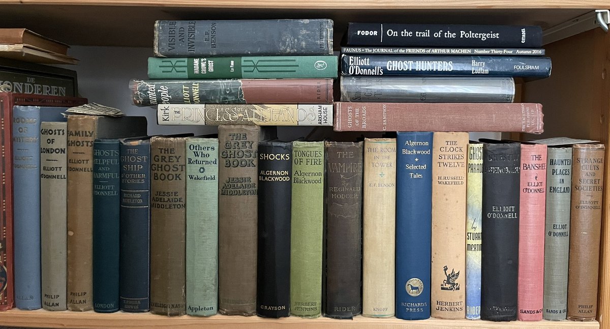 Theo Paijmans tweet media