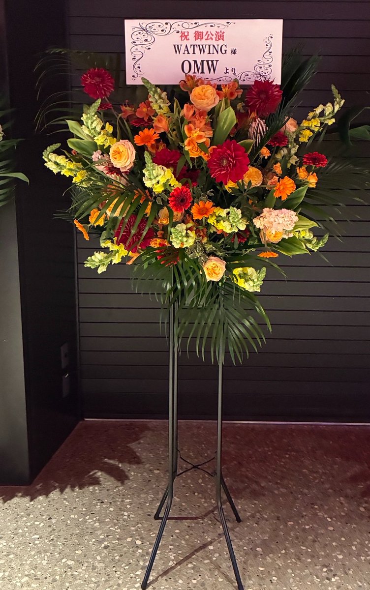 WATWING official tweet media