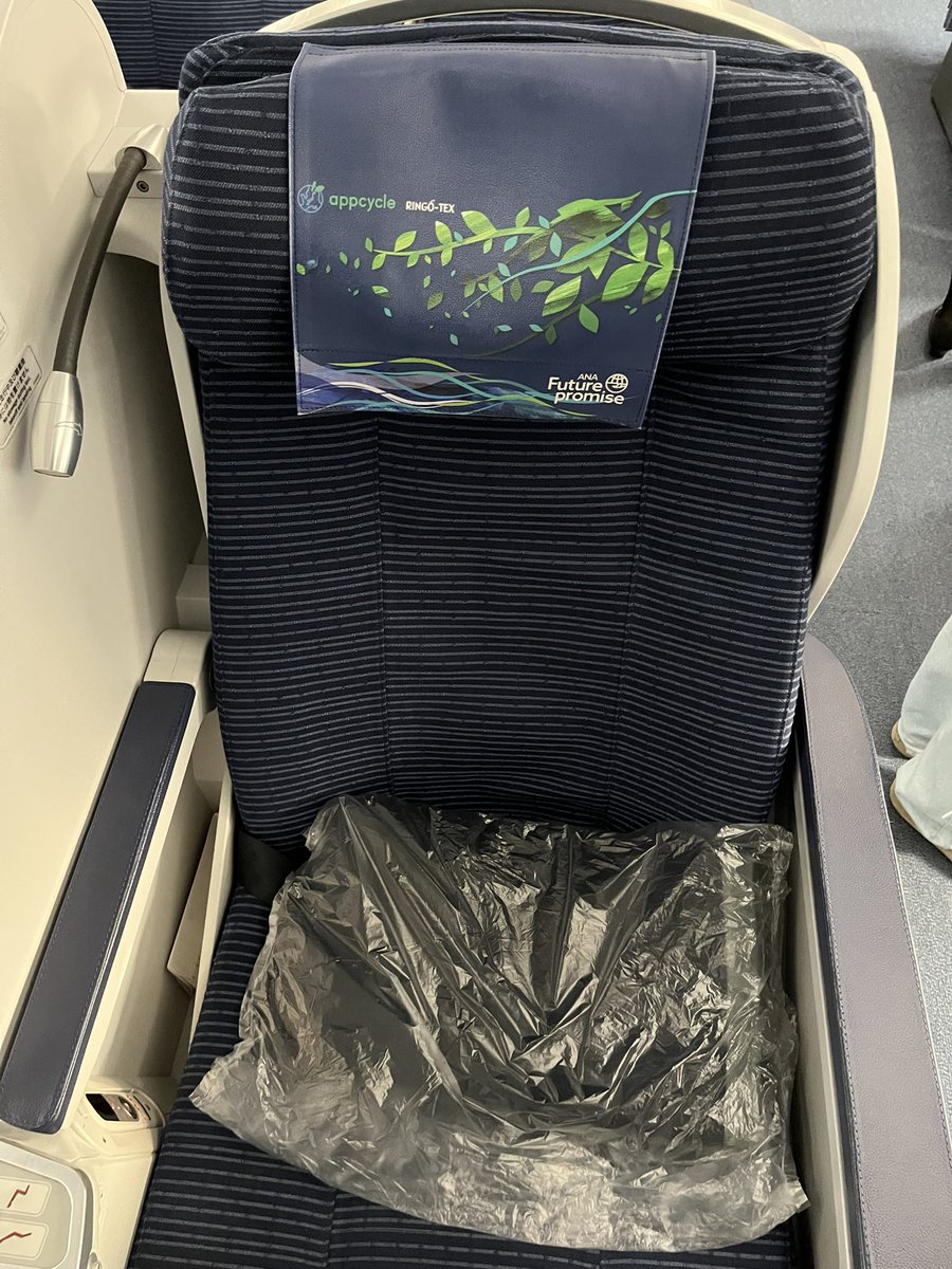 pochirm35's tweet photo. NH862で帰国。
緑色の特別塗装機だった、ラッキー！
この後は国内線乗り継ぎです。
てっきり第二着かと思ったら、第三着だった。 https://t.co/PVn9Y2JajN
