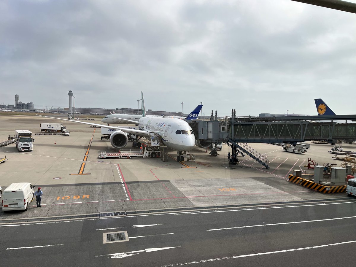 pochirm35's tweet photo. NH862で帰国。
緑色の特別塗装機だった、ラッキー！
この後は国内線乗り継ぎです。
てっきり第二着かと思ったら、第三着だった。 https://t.co/PVn9Y2JajN