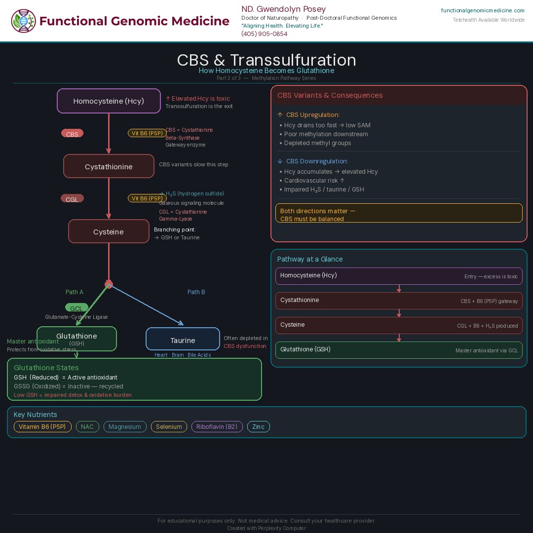functionalgenom's tweet image. CBS pathway = where homocysteine becomes protection.

It drives glutathione + taurine production—key for detox, balance, and cellular defense.

Too fast or too slow = dysfunction.
Balance is everything.

#FunctionalGenomics #Methylation