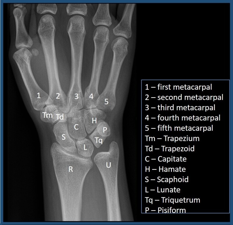 Medical Education tweet media