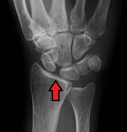 Medical Education tweet media