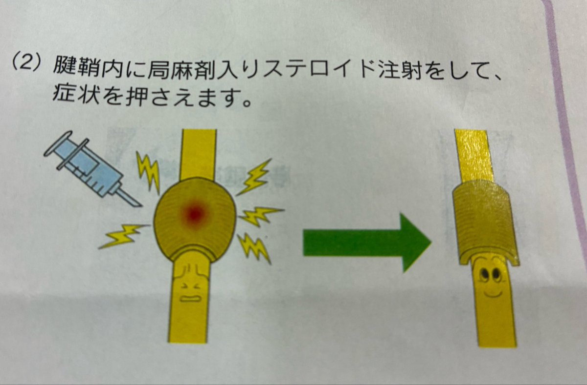 ぷぷ♪🐾 tweet media