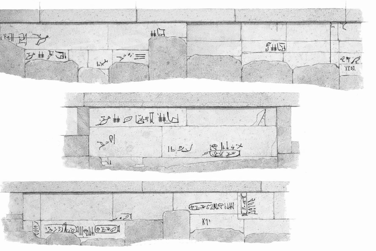 Ethical Skeptic ☀ tweet media